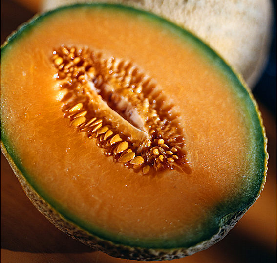 Cantaloupe melon halved.