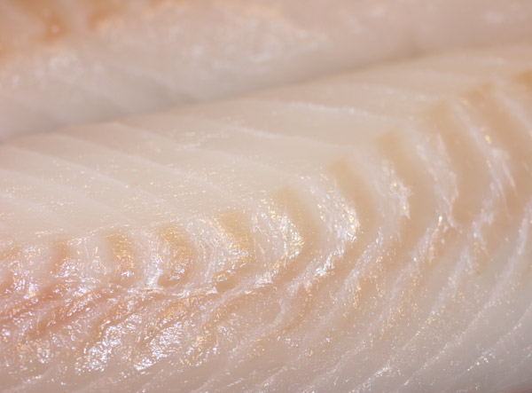 Close up of raw cod fillets.