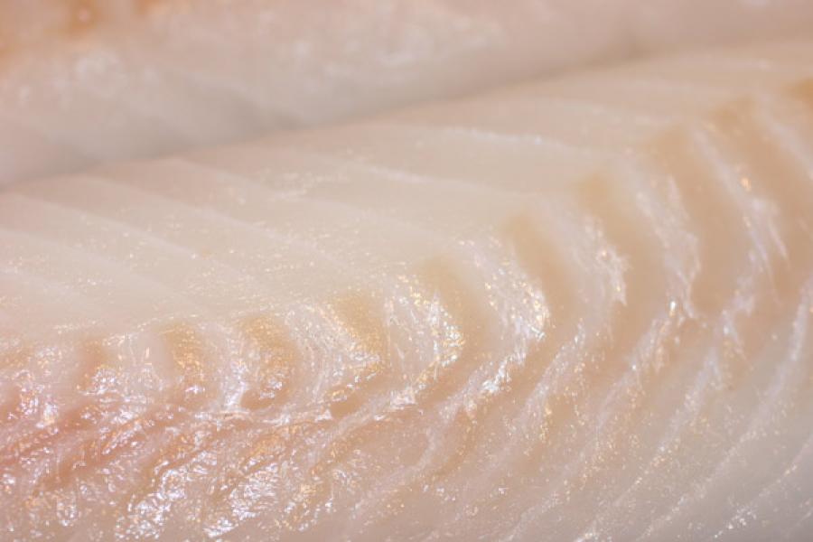 Close up of raw cod fillets.