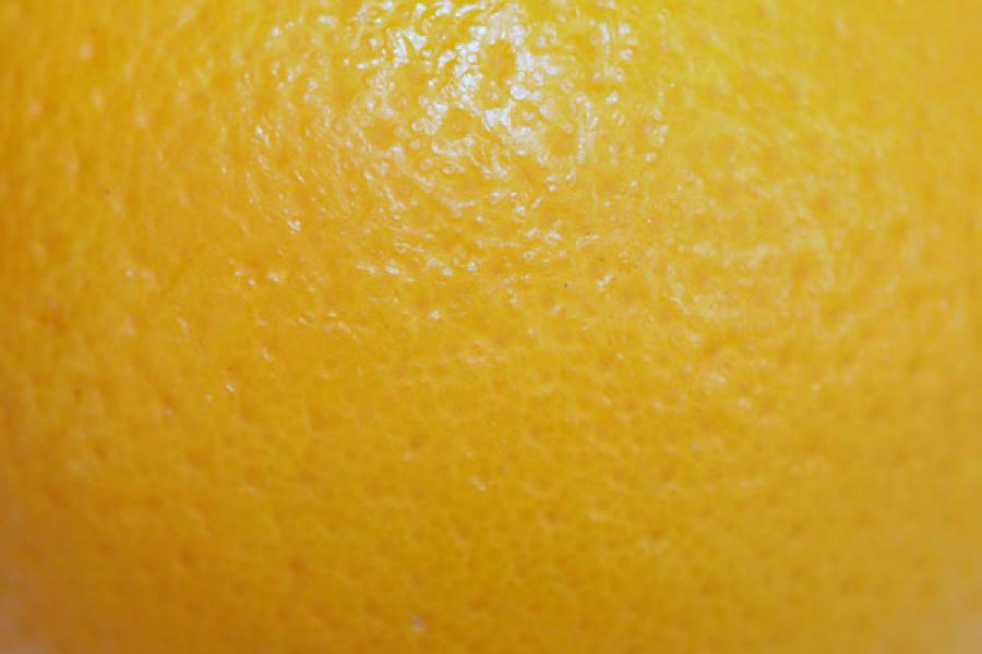 Close up of the skin of an orange.