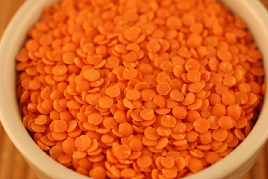 Red split lentils in a white bowl.